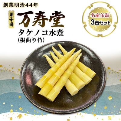 名産缶詰 タケノコ水煮(根曲り竹)3缶セット[No.5325-0662]