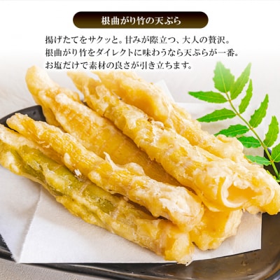名産缶詰 タケノコ水煮(根曲り竹)3缶セット[No.5325-0662]