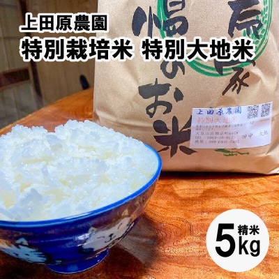【令和8年産】先行受付 精米 5kg_S051-004A