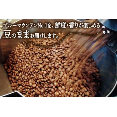 「ブルーマウンテンNo.1」 100g×3 (計300g)・コーヒーミル 1個