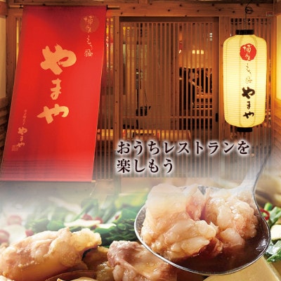 やまや　博多もつ鍋　こく味噌味(1～2人前)(筑紫野市)