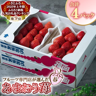 【2026年発送先行受付】ふくおか産【春】あまおう4パック(筑紫野市)