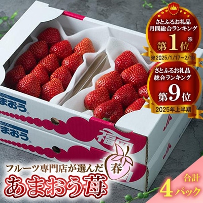 【2026年発送先行受付】ふくおか産【春】あまおう4パック(筑紫野市)