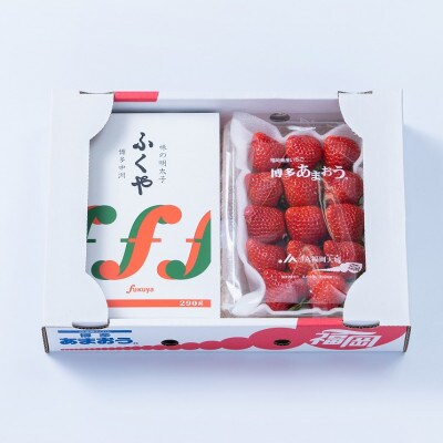 【11月下旬より順次発送】ふくおか産あまおう&明太子290g(筑紫野市)