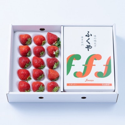 【11月下旬より順次発送】ふくおか産あまおう&明太子540g(筑紫野市)