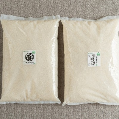 ふくおか産「夢つくし2.5kg」「元気つくし2.5kg」の食べ比べ(筑紫野市)