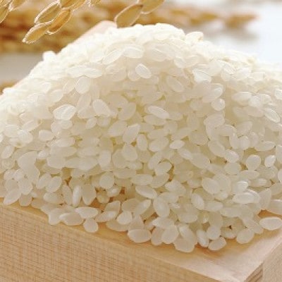 ふくおか産「夢つくし2.5kg」「元気つくし2.5kg」の食べ比べ(筑紫野市)