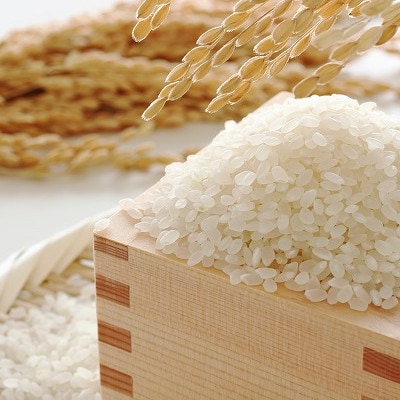 ふくおか産「米」夢つくし5kg(筑紫野市)