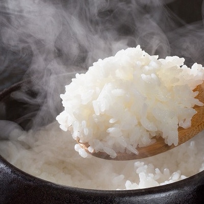 ふくおか産「米」元気つくし5kg×2袋(筑紫野市)