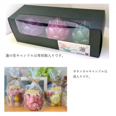 蓮の花キャンドル3個セットとボタニカルキャンドル1個