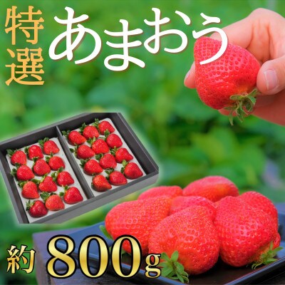 うるう農園の【特別栽培】特選あまおう800g(筑紫野市)