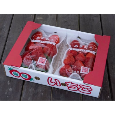 うるう農園のあまおう デラックス等級 2パック(570g)(筑紫野市)
