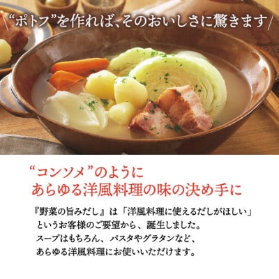 洋風だしパック 野菜の旨みだし20袋入×2個セット(筑紫野市)
