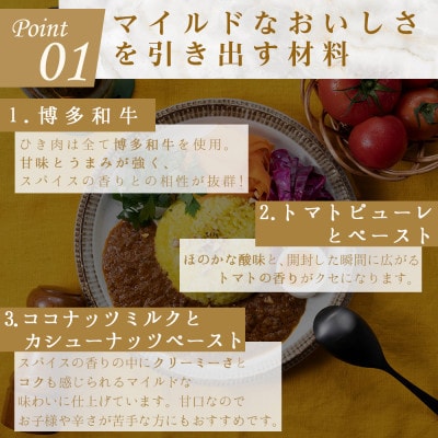 100%博多和牛のキーマカレー (180g×3パック)(筑紫野市)
