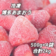 福岡県産【博多冷凍あまおう】約500g&times;4袋 合計約2kg(筑紫野市)