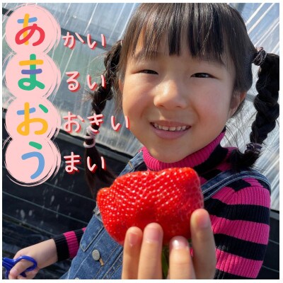 【自然の贈り物】かわいい化粧箱入り!福岡県産冷凍あまおう(合計1kg[500g×2袋])(筑紫野市)