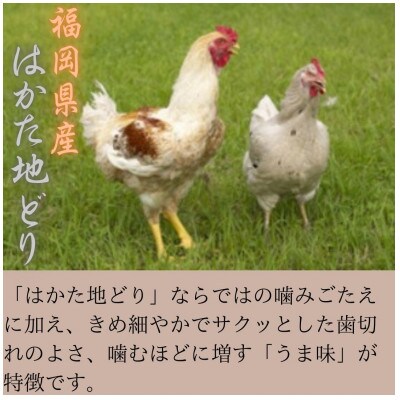 【はかた地どり使用】おしゃれな化粧箱でお届け!素材そのままササミスティック40g×10袋(筑紫野市)