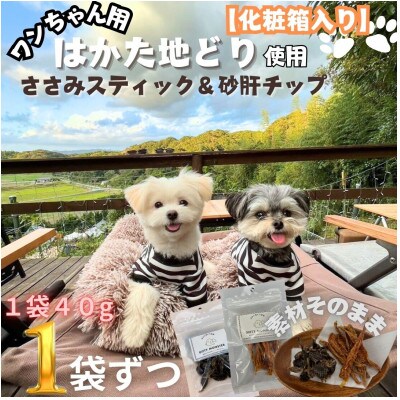 【はかた地どり使用】化粧箱でお届け!素材そのままささみスティック&砂肝チップ40g×各1(筑紫野市)