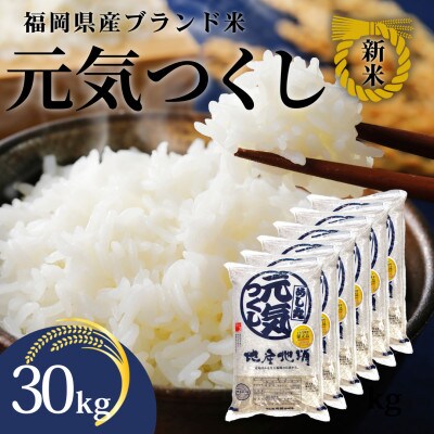新米!!令和7年産 福岡県産米 元気つくし 合計30kg(5kg×6袋)(筑紫野市)
