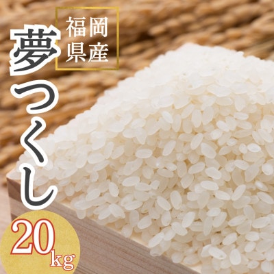【令和7年産】福岡県産 夢つくし20kg(5kg×4袋)(筑紫野市)