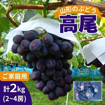 山形のぶどう(高尾)2～4房　合計2kg　ご家庭用　0017-2605