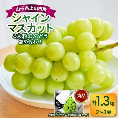 シャインマスカットと大粒ぶどうの詰合せ(品種おまかせ)1.3kg　0017-2608