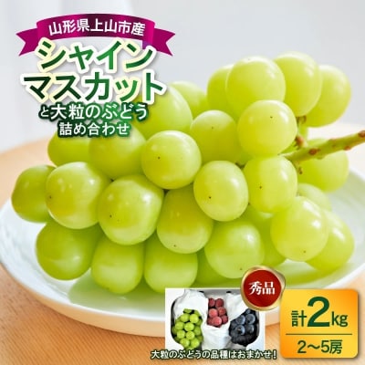シャインマスカットと大粒ぶどうの詰合せ(品種おまかせ)2kg　0017-2609