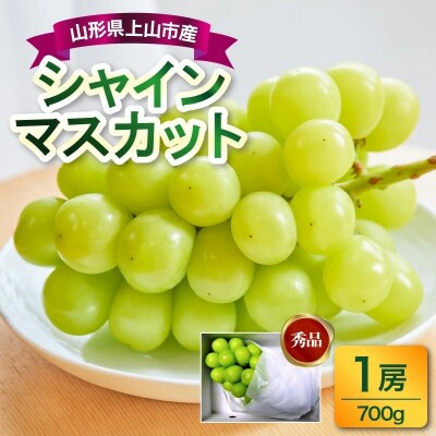 ぶどう(シャインマスカット)1房　700g　0017-2610