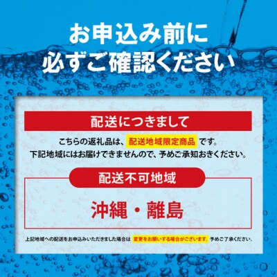 【定期便6か月コース】富士山の強炭酸水レモン500mlラベルレス×24本入×6回G37