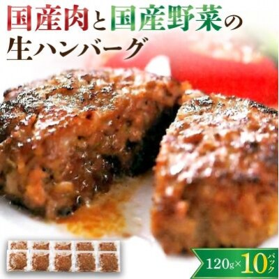 国産肉と国産野菜の生ハンバーグ　120g×10パック　0002-2203