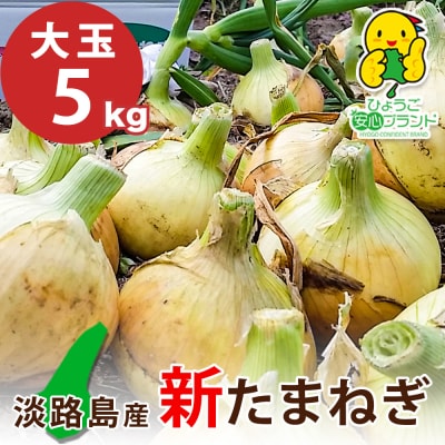 【あさひサンファーム】【大玉5kg】兵庫県認証★特別栽培★淡路島新たまねぎ