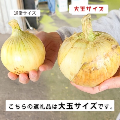 【あさひサンファーム】【大玉5kg】兵庫県認証★特別栽培★淡路島新たまねぎ