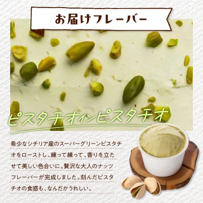 E.den(エデン) 豊富牛乳ジェラート ピスタチオインピスタチオ 100ml×12個