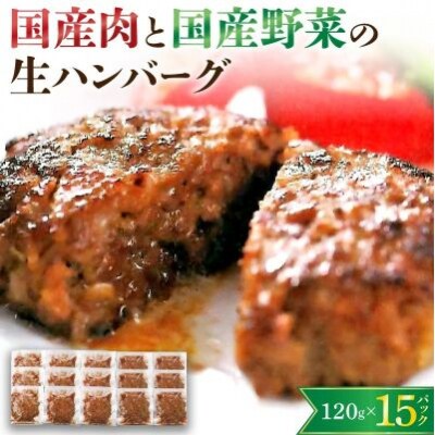 国産肉と国産野菜の生ハンバーグ　120g×15パック　0002-2204