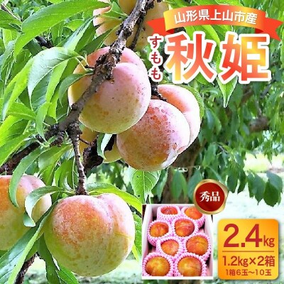 すもも(秋姫)2.4kg　0017-2607