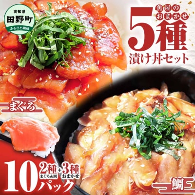 これが魚屋の漬け丼だ!魚屋のおまかせ5種漬け丼セット(鮪+鯛+おまかせ3種) 5種×2P(80g)