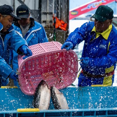 ≪発送期間5月～7月≫三陸やまだオランダ島サーモン×1本(約2kg) 月曜日発送 沖縄・離島配送不可