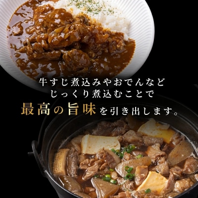 神戸牛 すじ肉 600g (300g×2パック) A4ランク A5ランク [No5698-1237]