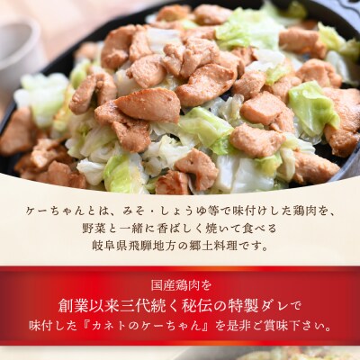 ケーちゃん10個入り(みそ味・しょうゆ味 各230g×5個)けいちゃん 鶏ちゃん【8-1】