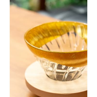 HARIO V60 耐熱ガラス透過ドリッパー02 築山 VDG-02-HT | 耐熱 _FU34