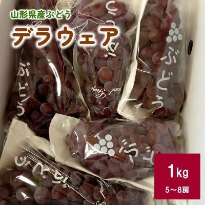 ぶどう(デラウェア)1kg　0142-2601