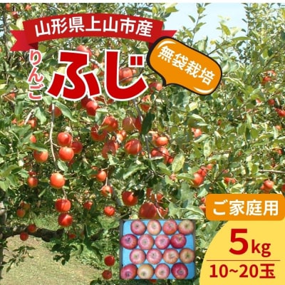 りんご(ふじ)5kg　ご家庭用　0017-2630