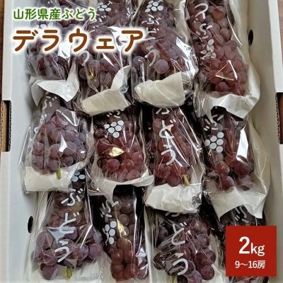 ぶどう(デラウェア)2kg　0142-2602