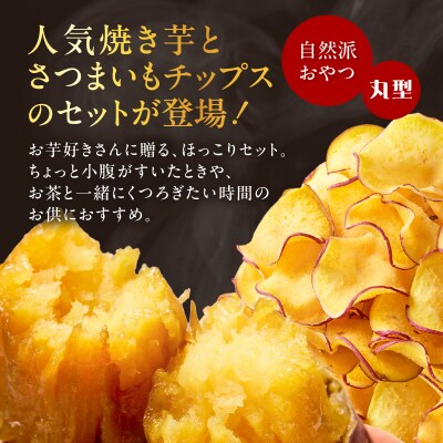 焼き芋紅はるか1kg & 焼き芋職人のさつまいもチップス(丸型)3袋　K181-013_01