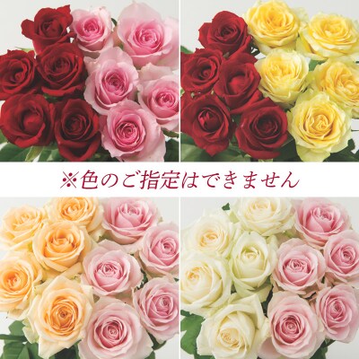 山形産農園直送高級バラ 20本 FZ26-743