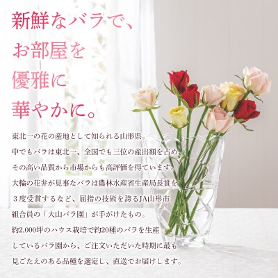 山形産農園直送高級バラ 30本 FZ26-741