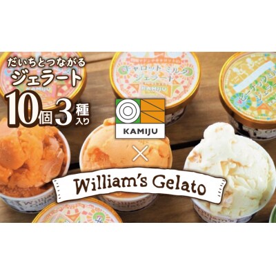 【3種のフレーバーを食べ比べ】ジェラート10個セット映えるデザインが可愛い　H105-215