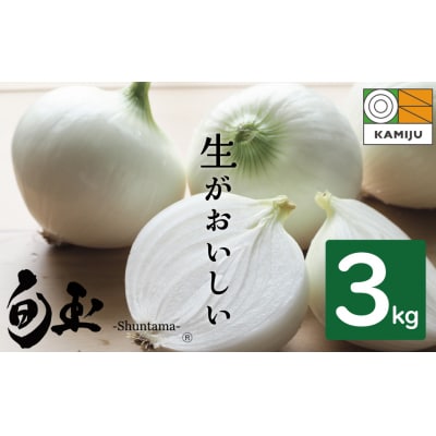 ≪某TVで紹介≫【お試し】新玉ねぎ 生がおいしい 神重農産の玉ねぎ「旬玉」3kg H105-218
