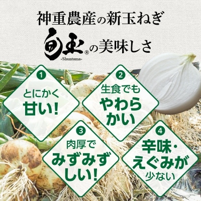 ≪某TVで紹介≫【お試し】新玉ねぎ 生がおいしい 神重農産の玉ねぎ「旬玉」3kg H105-218