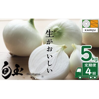 【事前予約】神重農産のブランド玉ねぎ「旬玉」5kg×4回 H105-222